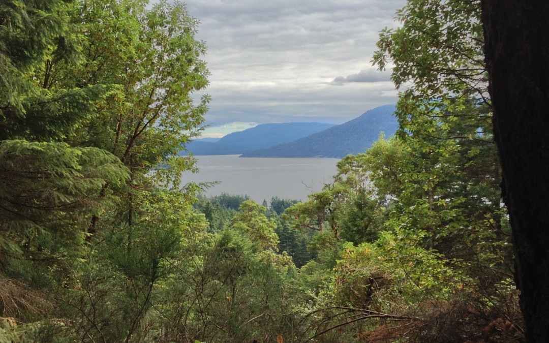 Lot 1 Maple Ridge Drive, Salt Spring Island