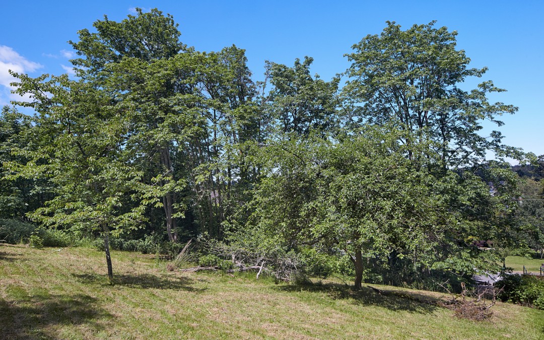 Lot A Seaview Avenue, Salt Spring Island