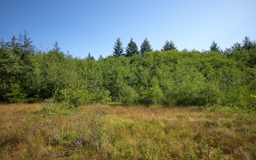 Lot A Beaver Point Road, Salt Spring Island